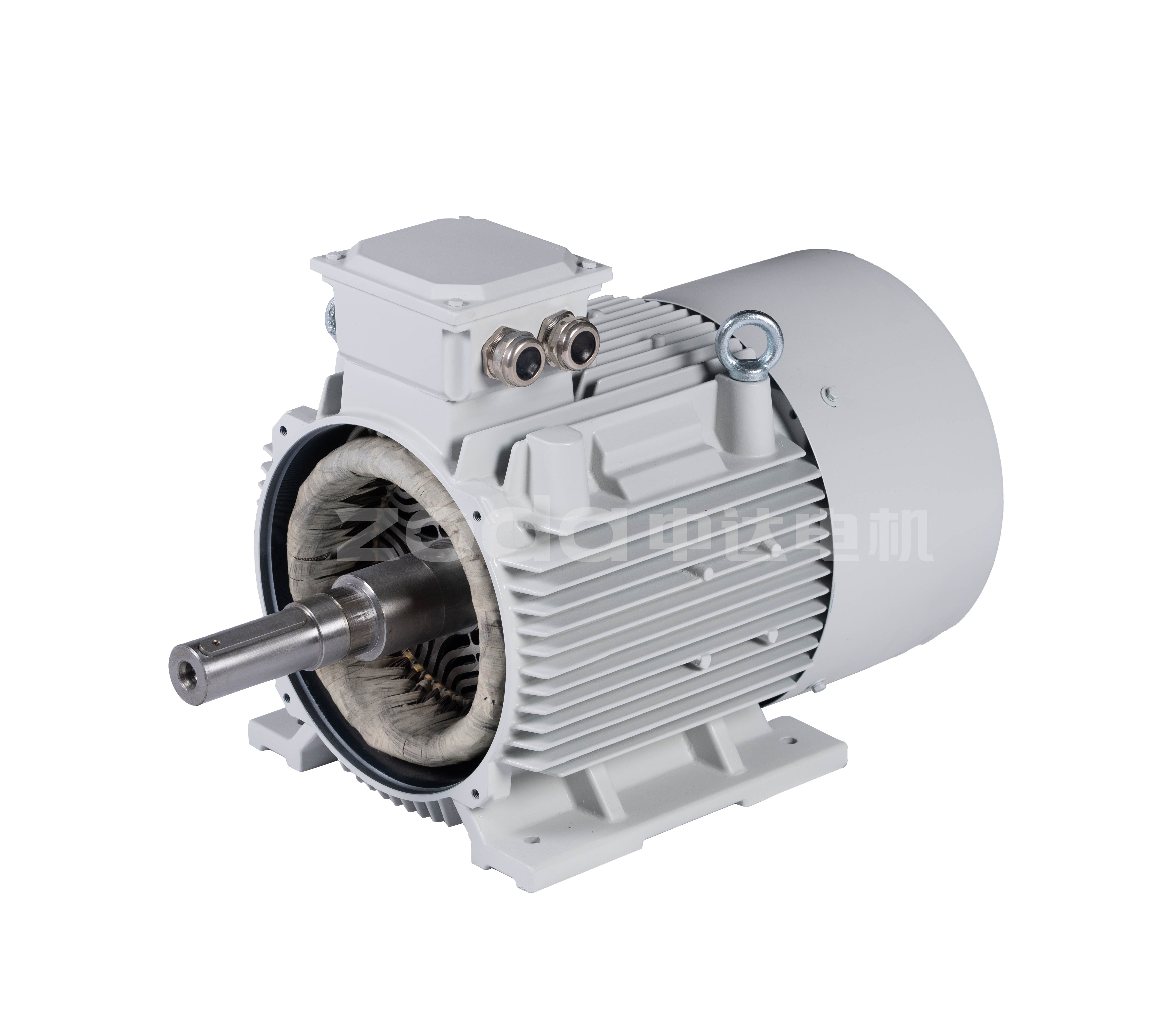 RM series synchronous reluctance motor